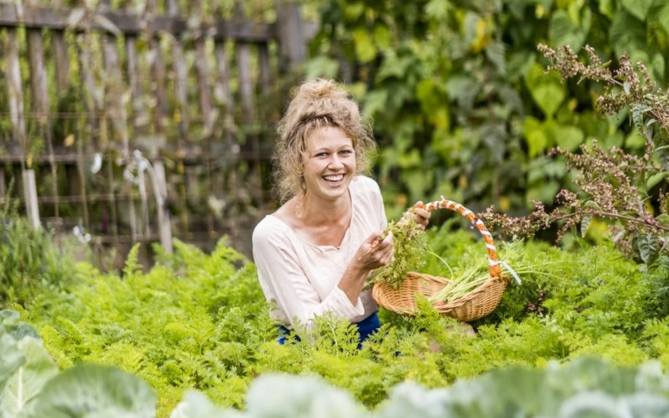 SBO Basteln arminhuber_HQ-723_800x1200 querformat.jpg